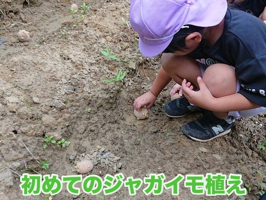画像262