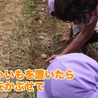 画像263